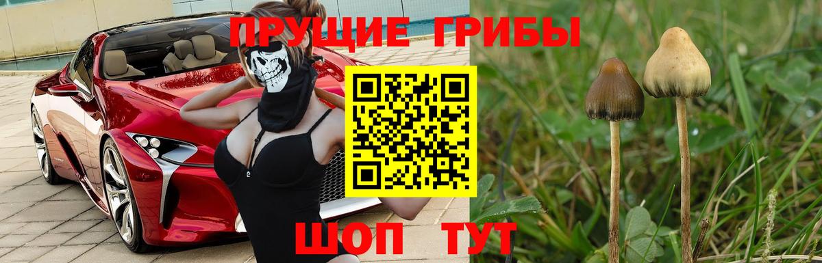 Псилоцибиновые грибы ЛСД  Вход с VPN  Нововоронеж 